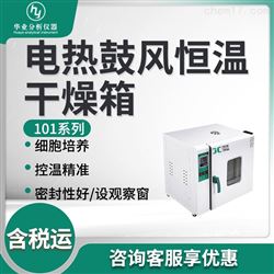 101系列电热鼓风恒温干燥箱