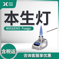 WIGGENS  Fuego本生灯
