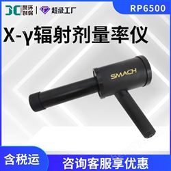 RP6500X-γ辐射剂量率仪 辐射仪